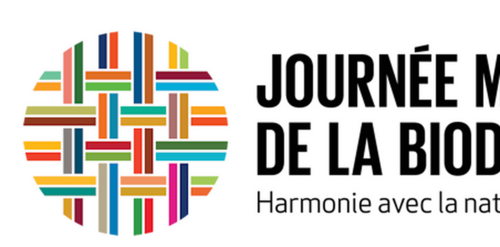 Journée mondiale de la biodiversité - 22 mai 2025